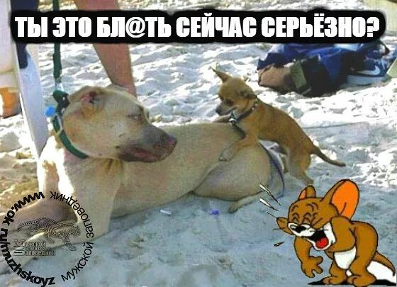 ты это Б БЕЙШБ БЕРЪЁЗШі