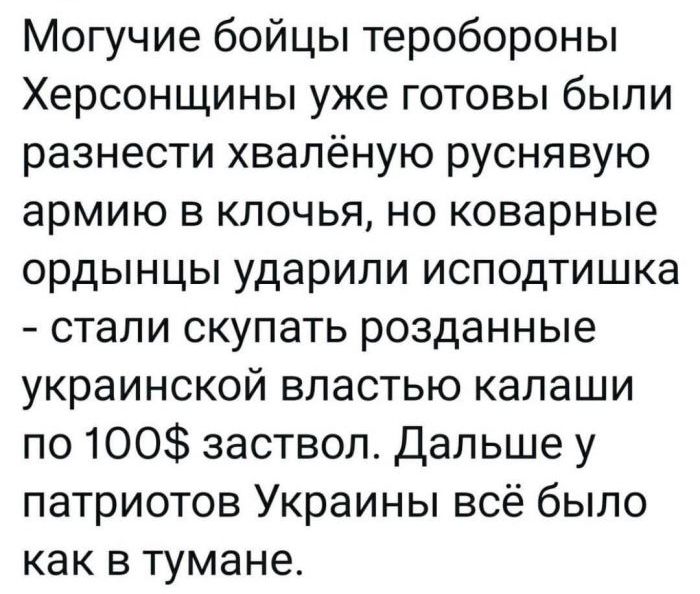 Могучие бойцы теробороны Херсонщины уже готовы были разнести хвалёную руснявую армию в клочья но коварные ордынцы ударили исподтишка стали скупать розданные украинской властью калаши по 100 заствол Дальше у патриотов Украины всё было как в тумане