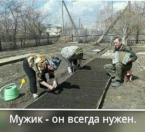 Мужик он всегда нужен