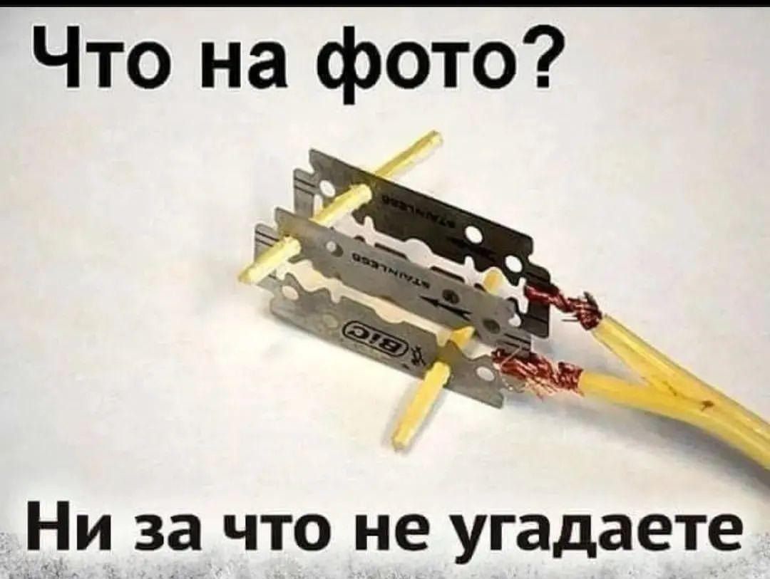 Что на фото _ Ни за что не угадаете