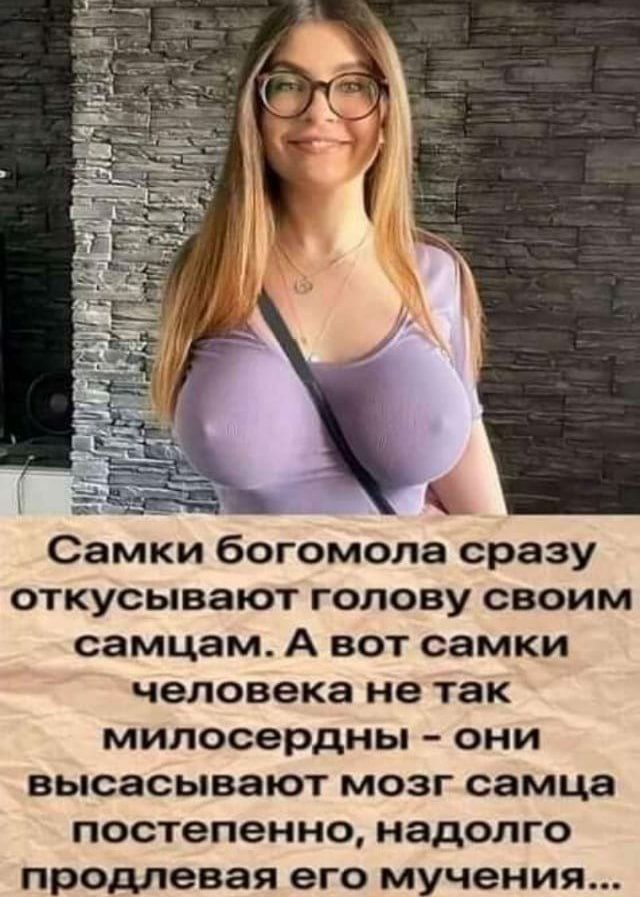 Самки богомола сразу откусывают голову своим самцам А вот самки человека не так милосердны ОНИ высасывают МОЗГ самца постепенно НЗДОЛГО продлевая его мучения