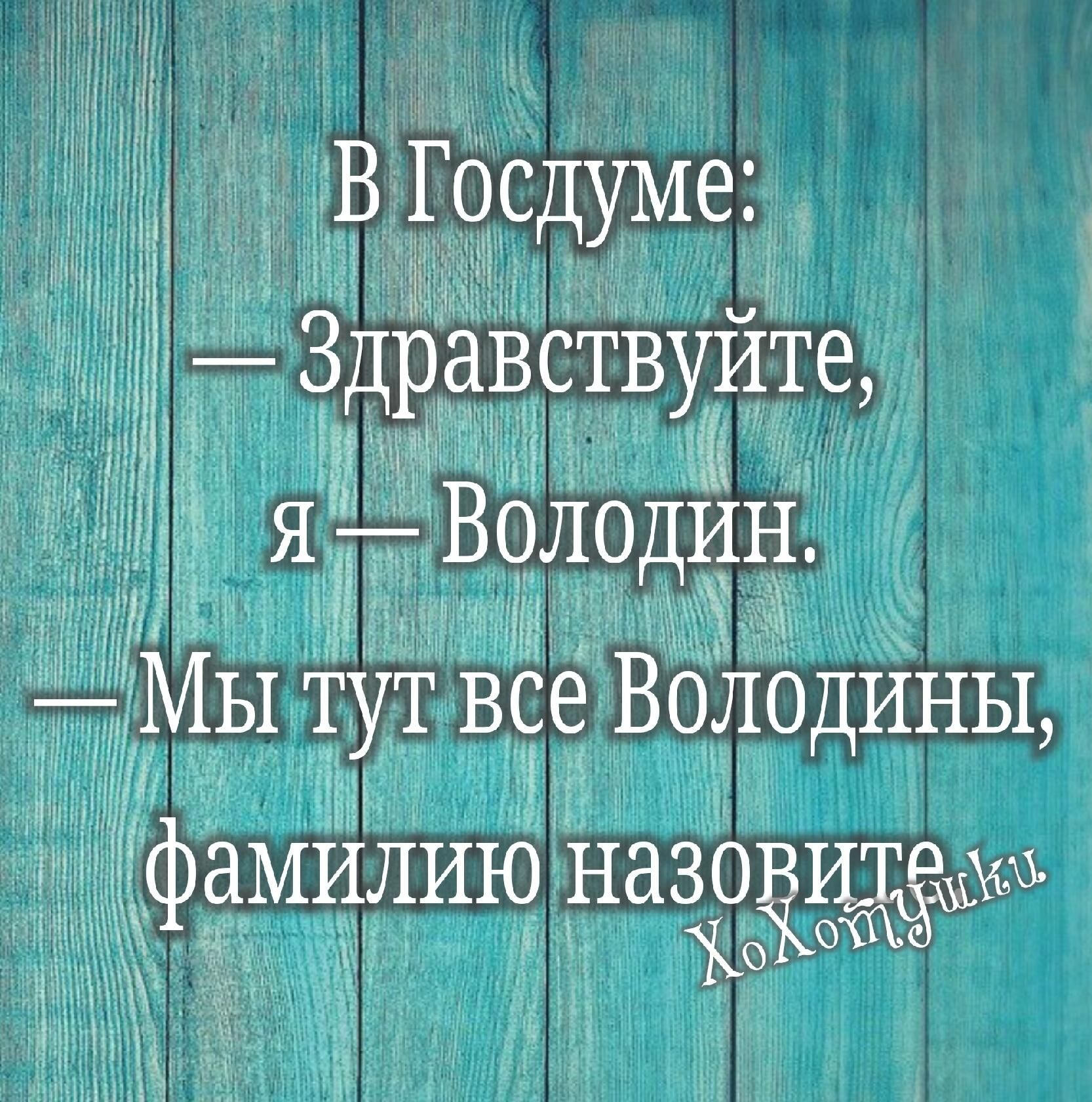 дд В Госдуме Здравствуите я ВОЛОДИН Мы Тут все ВОЛОДИНЫ фамилию назовитфиъ ЖО О