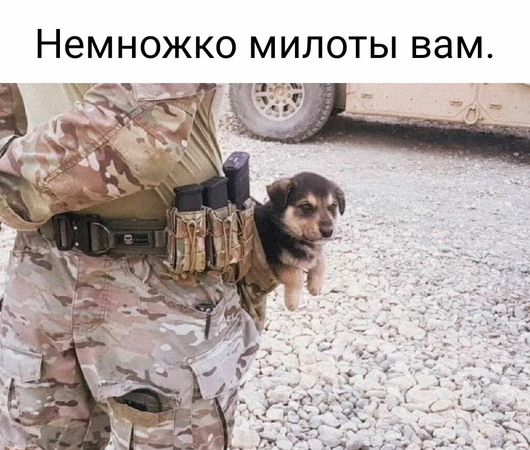 Немножко милоты вам