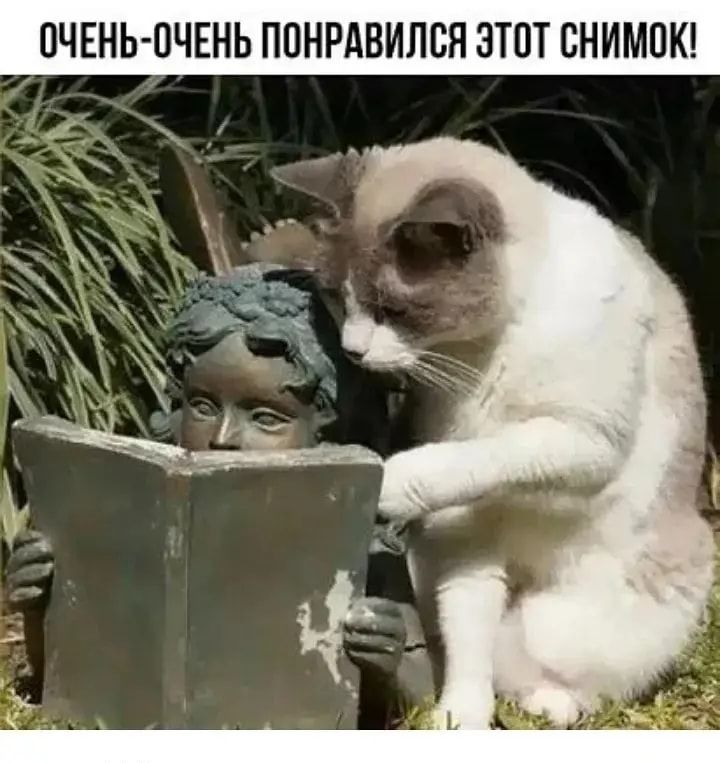 ОЧЕНЬ ОЧЕНЬ ППНРАВИЛБЯ ЗТПТ СНИМПК