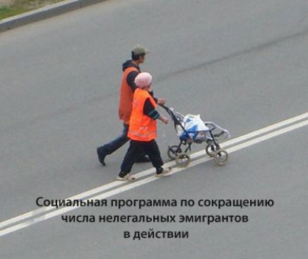 _ Социальная программа по сокра щеиию числа нелегальных эмигрантов в действ