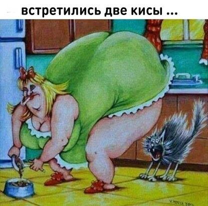 встретились две кисы