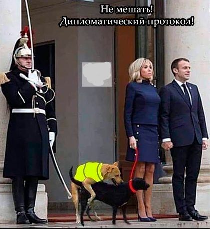 Не мешщ дипломатический протокол
