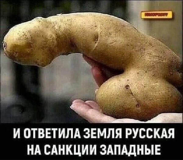 и ответим зЕмля русскдя нд сАнкции здпдднын