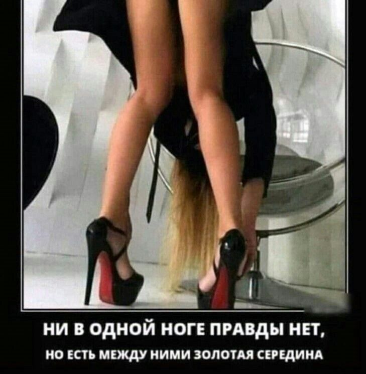 ни в одной ноге пмвды ни но есть макду ними золотм сепдиид