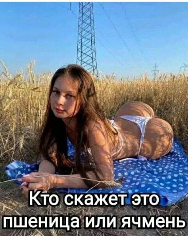 _ Кто Скажепэто пшеница или ячмень