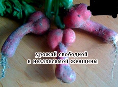 инезависимой женщины