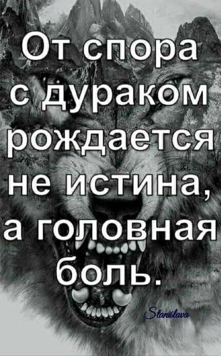 В споре рождается истина. В хаосе рождается истина. В споре рождается истина кто сказал. В споре рождается истина на латыни.