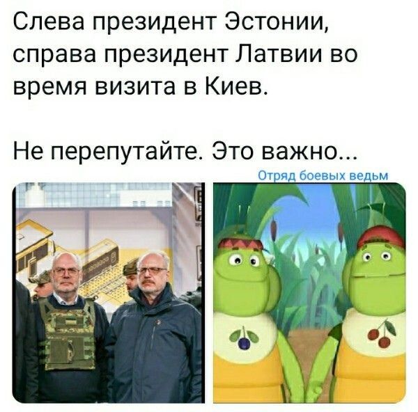 Слева президент Эстонии справа президент Латвии во время визита в Киев Не перепутайте Это важно Ог эяд иоевых ведьм
