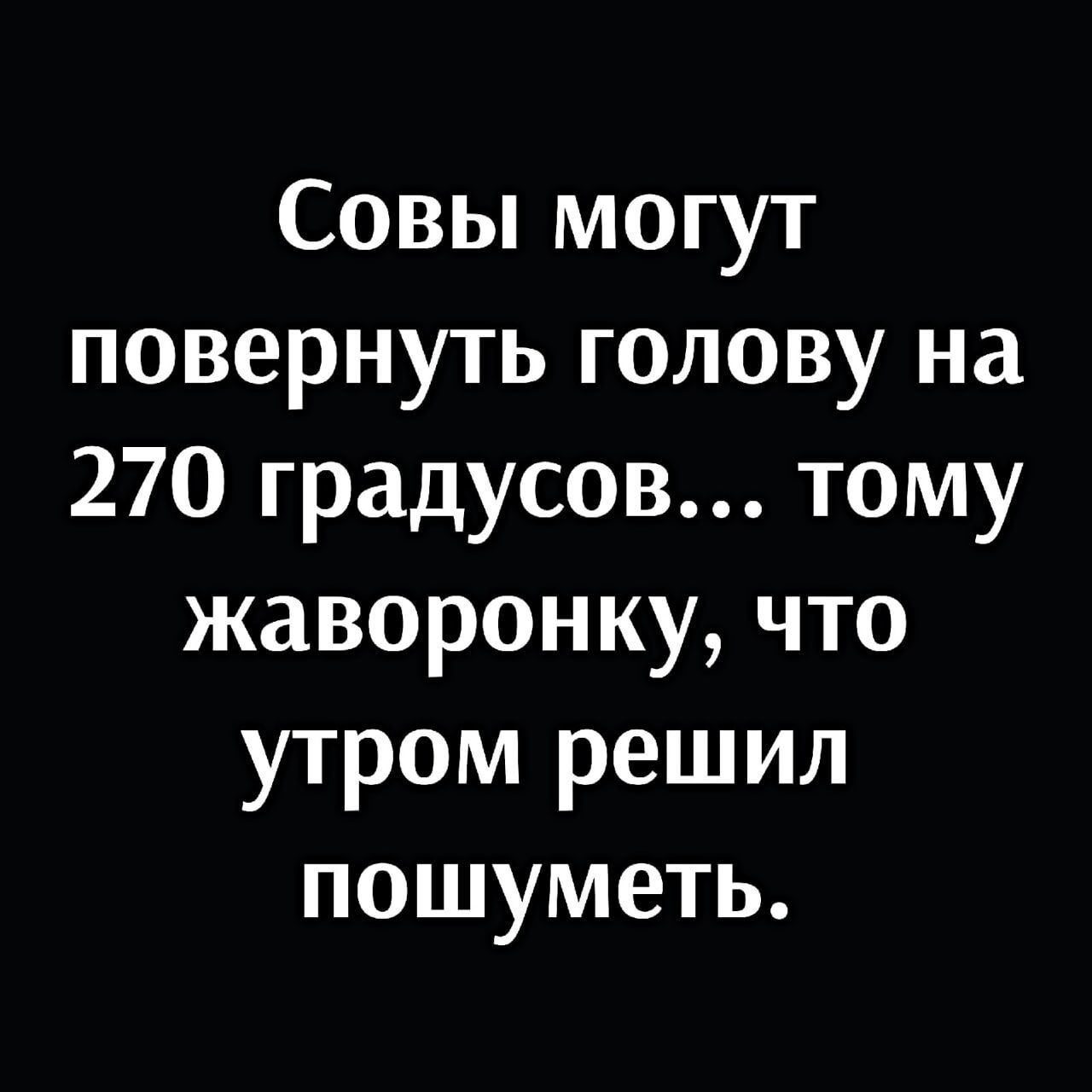 Совы могут повернуть голову на 270 градусов тому жаворонку что утром решил пошуметь