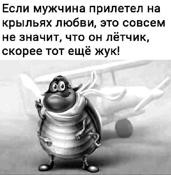 Если мужчина прилетел на крыльях любви это совсем не значит что он лётчик скорее тот ещё жук