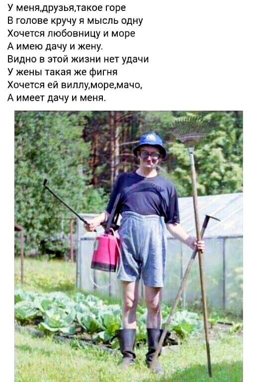 У менядРУ3ЬяТакое горе В голове кручу я мысль одну Хочется любовницу и море А имею дачу и жену Видно в этой жизни нет удачи У жены такая же Фигня Хочется ей виппуморемачо А имеет дачу и меня