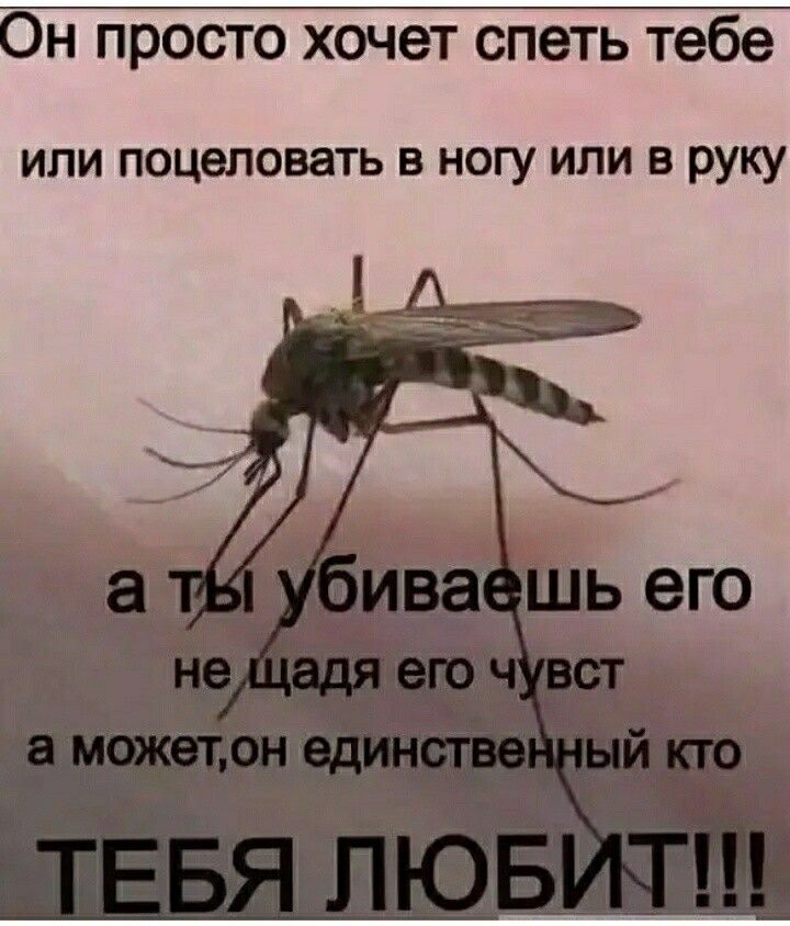 Он просто хочет спеть тебе или поцеловать в ногу или в руку