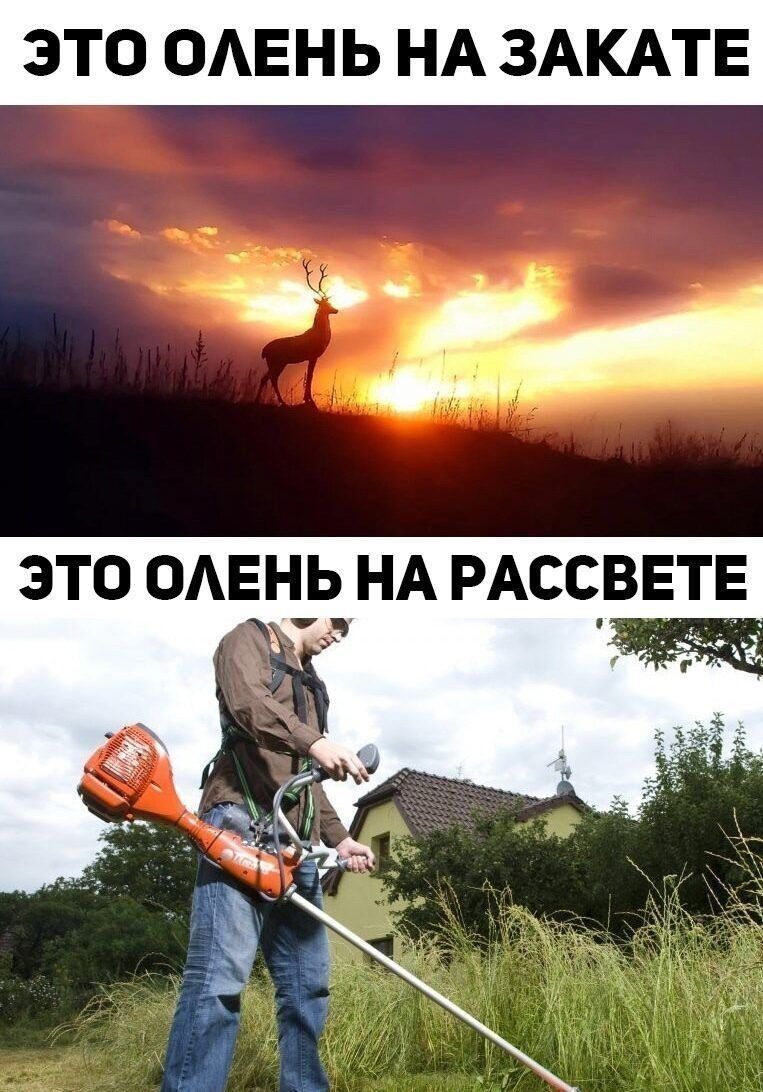 ЭТО ОАЕНЬ НА ЗАКАТЕ ЭТО ОАЕНЬУНА РАССВЕТЕ