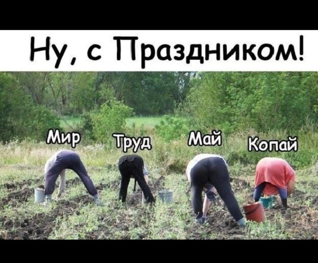 Ну _ с Праздником