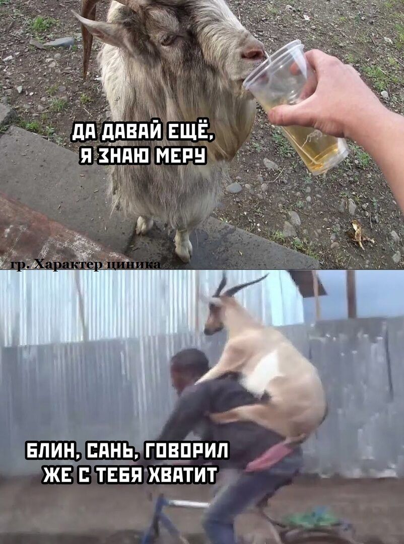 __дд ддвди Ещё Я ЗНТПШ МЕРН БЛИН ПдНЬ ГПВПРИЛ ЖЕ Е ТЕБЯ ХВАТИТ _