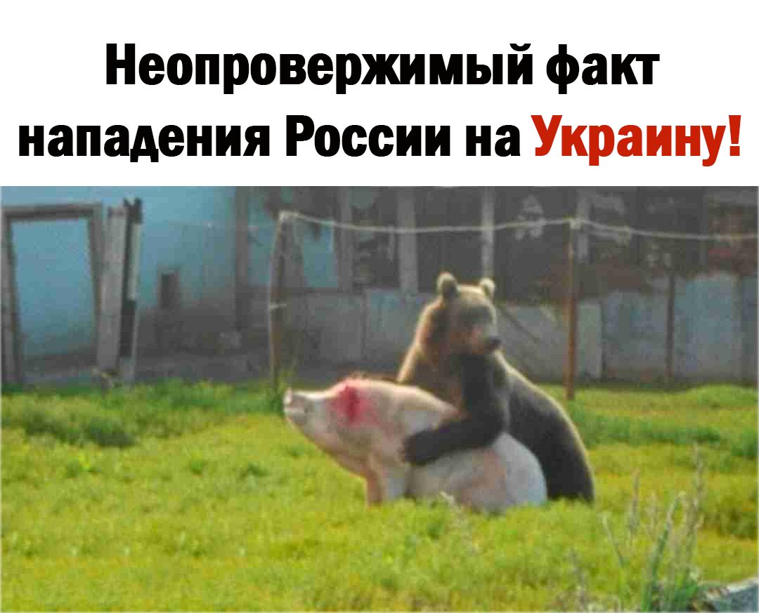 Неопровержимый факт нападения России на
