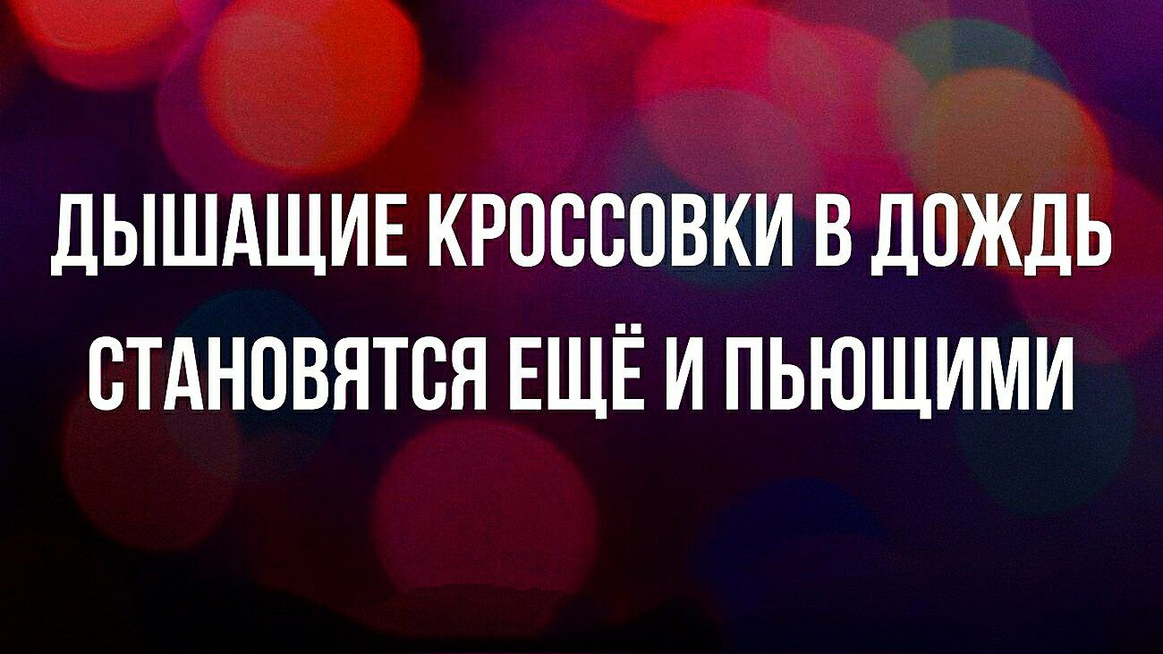 дЫШдЩИЕ КРПСВПВКИ В ДОЖДЬ СТАНОВЯТСЯ ЕЩЁ И ПЬЮЩИМИ