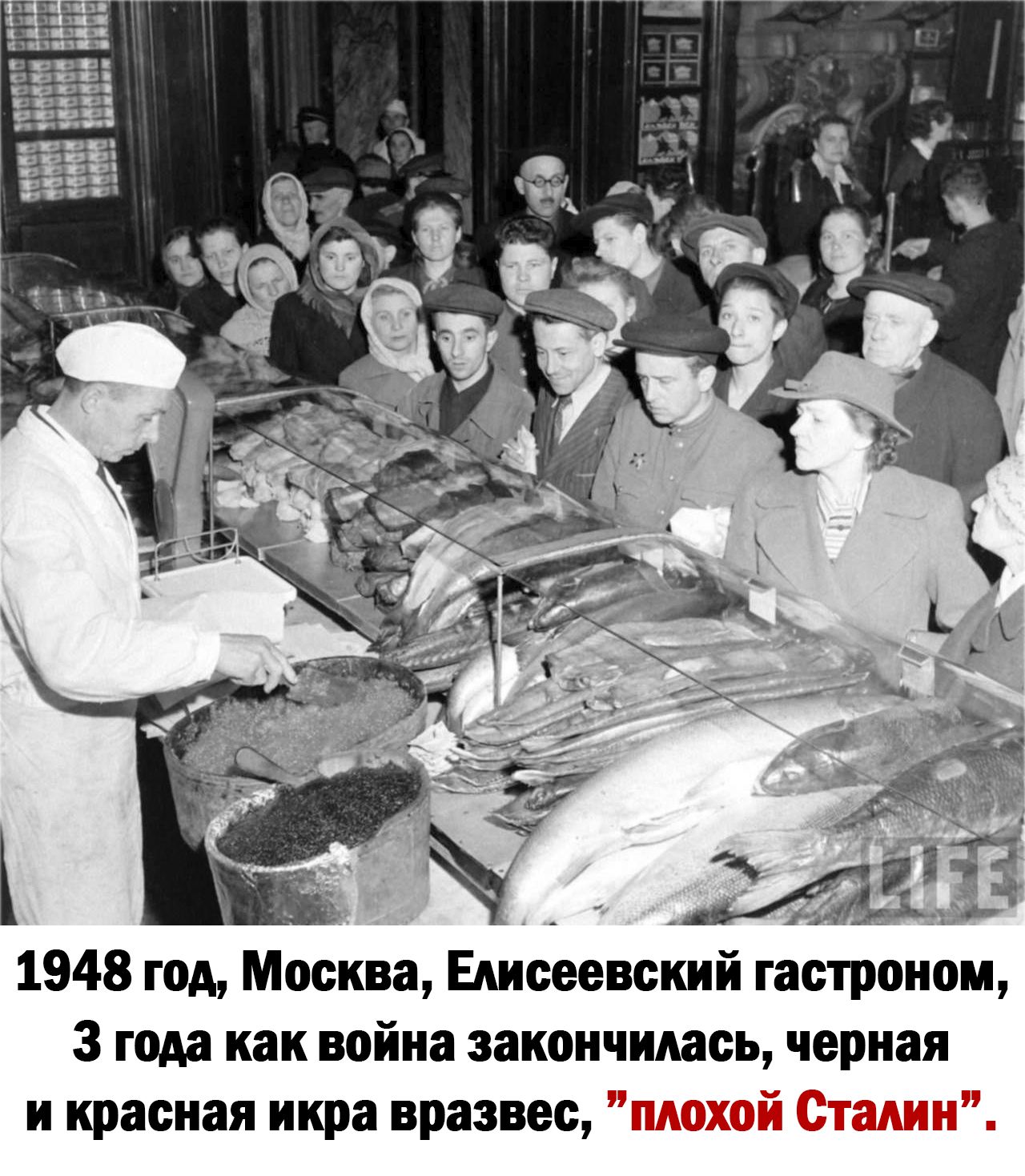 1948 год Москва ЕАИСееВЩАШЙ гастрбном 3 года как война закончилась черная И красная икра вразвес