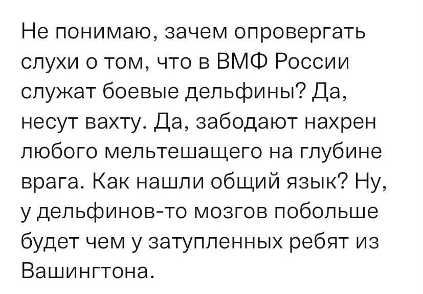 Не понимаю зачем опровергать слухи о том что в ВМФ России служат боевые дельфины Да несут вахту Да забодают нахрен любого мельтешащего на глубине врага Как нашли общий язык Ну у дельфиновто мозгов побольше будет чем у затупленных ребят из Вашингтона