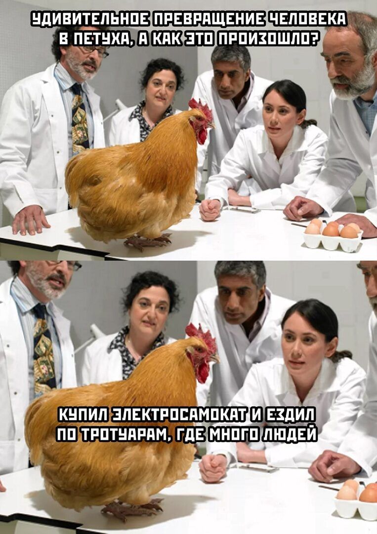 И 4 ъ КУПИЛЭЛЕКТРОСАМОКАТИИ ЕХДИЛ _ ПОДТРОТУАРАМ ГДЕМНОГОЛЮДЕЙ _
