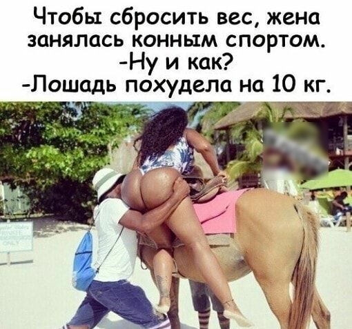 Чтобы сбросить вес жена занялась конным спортом Ну и как Пошадь похудела на 10 кг