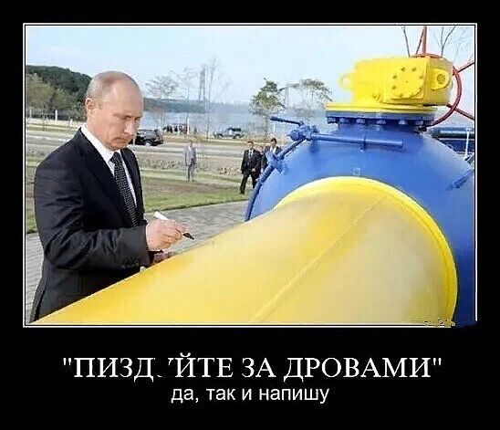 ПИЗД_ ЙТЕ ЗА ДРОВАМИ да так и напишу