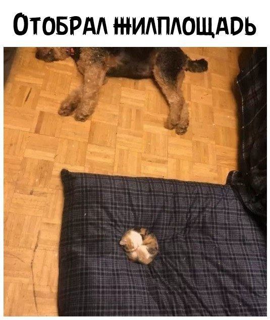 ОТОБРАА житощдвь