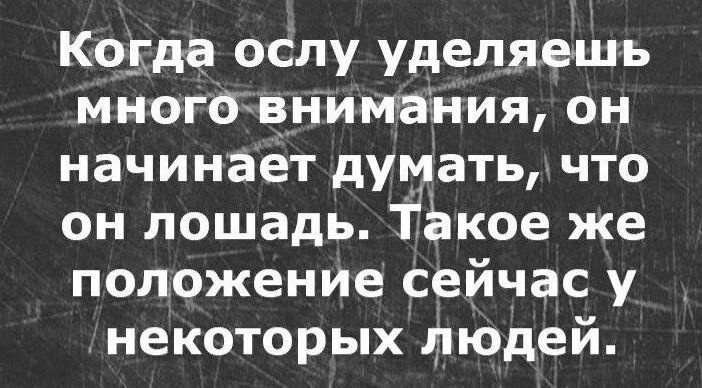 когда ослу уделяешь многбзНимаНия он начинает думать что он лошадь такое же положение сейчас у некоторых Людей