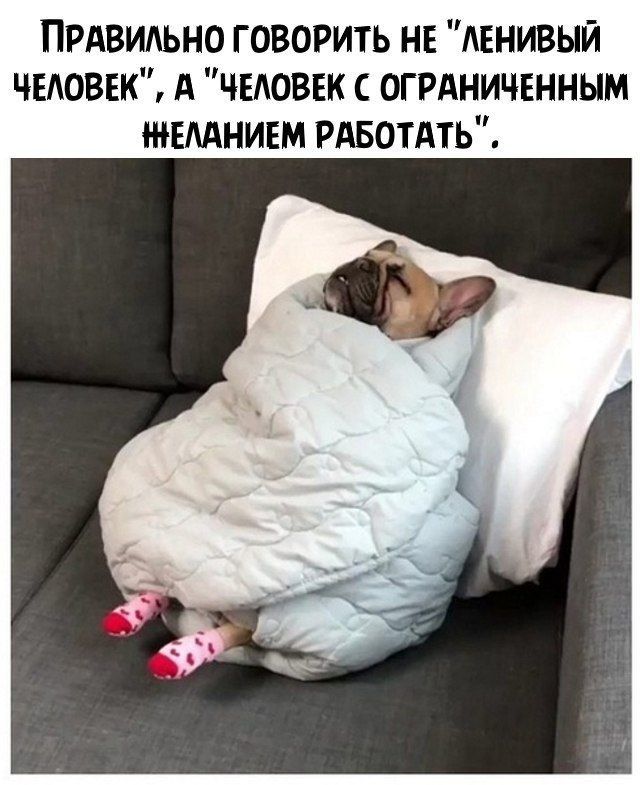 ПРАВИАЬНО ГОВОРИТЬ НЕ АЕНИВЫЙ ЧЕАОВЕК А ЧЕЛОВЕК С ОГРАНИЧЕННЫМ ЕМНИЕМ РАБОТАТЬ