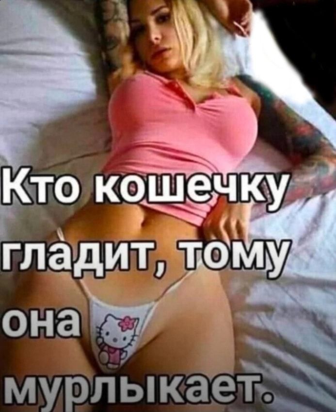 Кыто кошёчкул гладит іём_ьу роио 1 онаду мурпЫкае т я