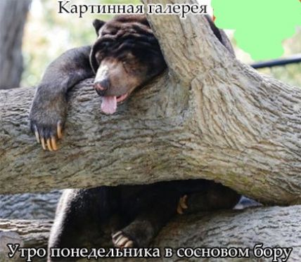 Кар 1 11пп_ш1сршл