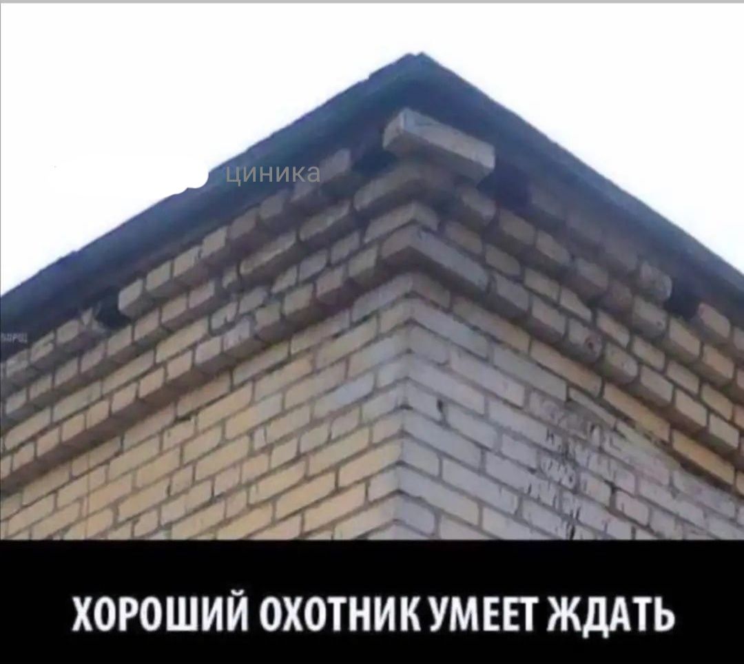а ч дд _ 1 ХОРОШИЙ ОХОТНИК УМЕЕТ ЖДАТЬ