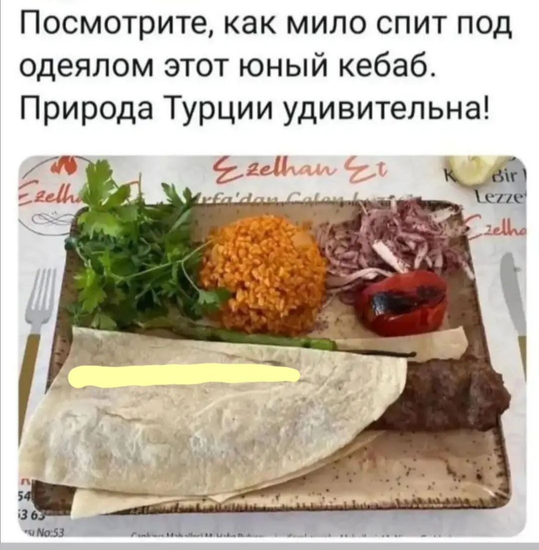 Посмотрите как мило спит под одеялом этот юный кебаб Природа Турции удивительна