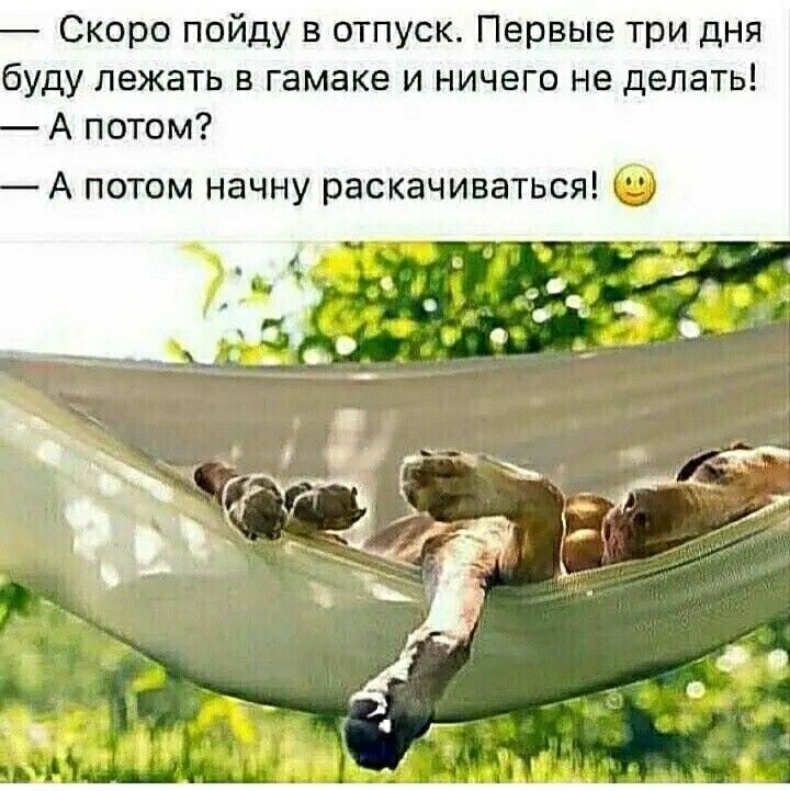 Скоро пойду в отпуск Первые три дня буду лежать в гамаке и ничего не делать А потом А потом начну раскачиваться
