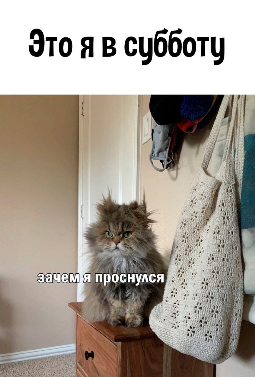 Это я в счбботц