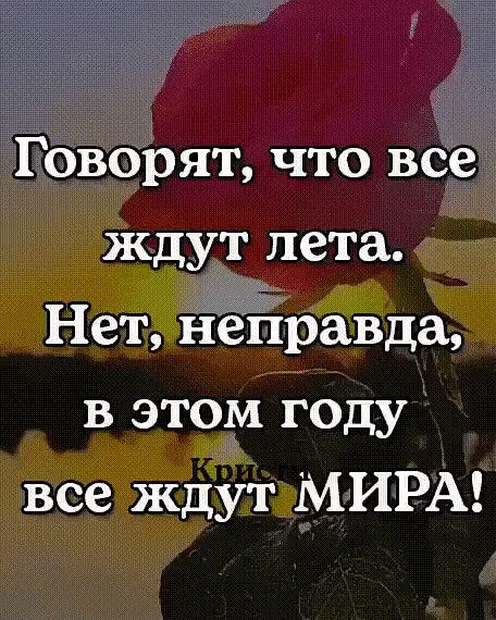 Говорят что все ждут лета Нет неправда в этом году все ждутМИРА