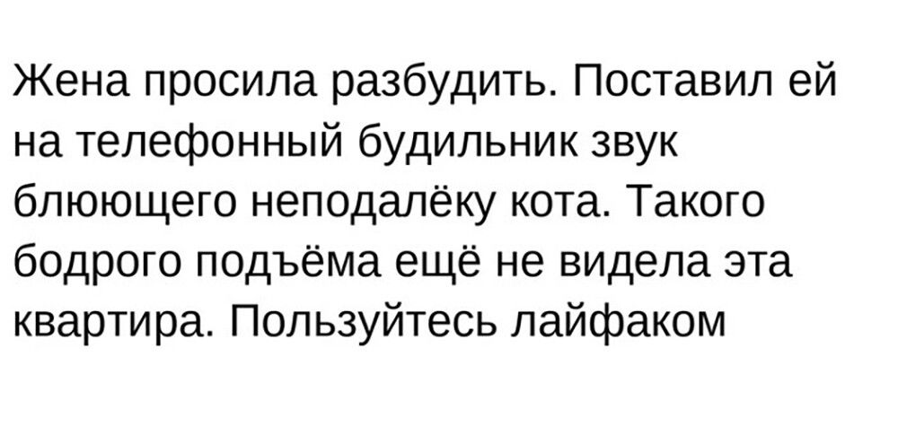 Жена просила разбудить Поставил ей на телефонный будильник звук блюющего неподалёку кота Такого бодрого подъёма ещё не видела эта квартира Пользуйтесь пайфаком