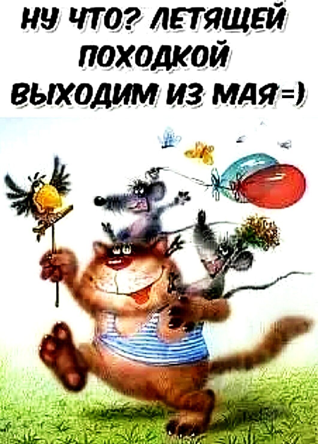 мы что лпящгй походкой вшодим из мдяг