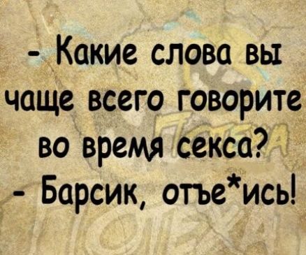 Какие слова вы чаще всего говорите во время секса д Барсик отъеись