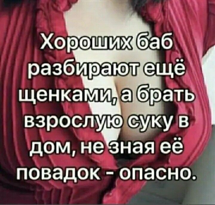 щенкамиабрать ы дом неЗная её повадок опасно 1