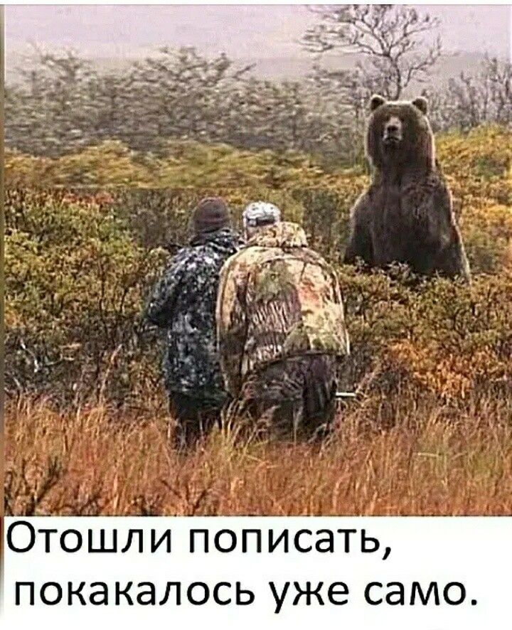 Отошли пописать покакалось уже само