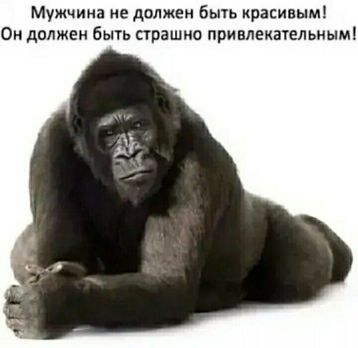 Мужчина не должен быть красивым Он должен быть страшно привлекательны