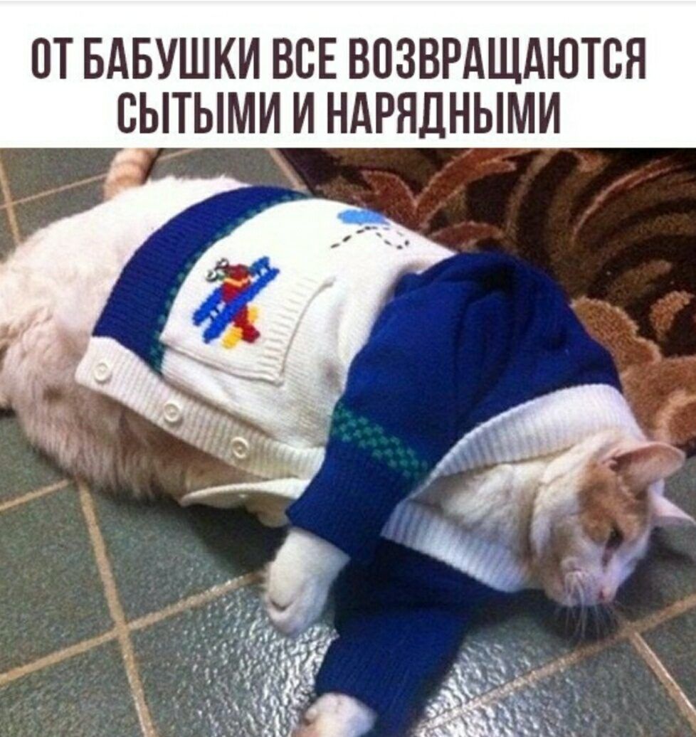 ПТ БАБУШКИ ВСЕ ВПЗВРАЩАЮТБН СЫТЫМИ И НАРНДНЫМИ