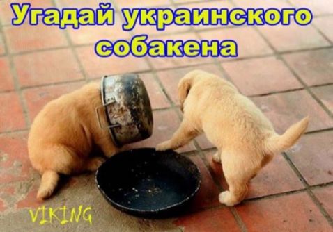 Мпадайрукраинского 2