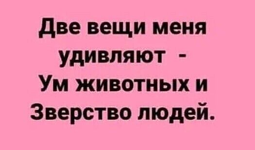 две вещи меня удивляют Ум животных и Зверство людей